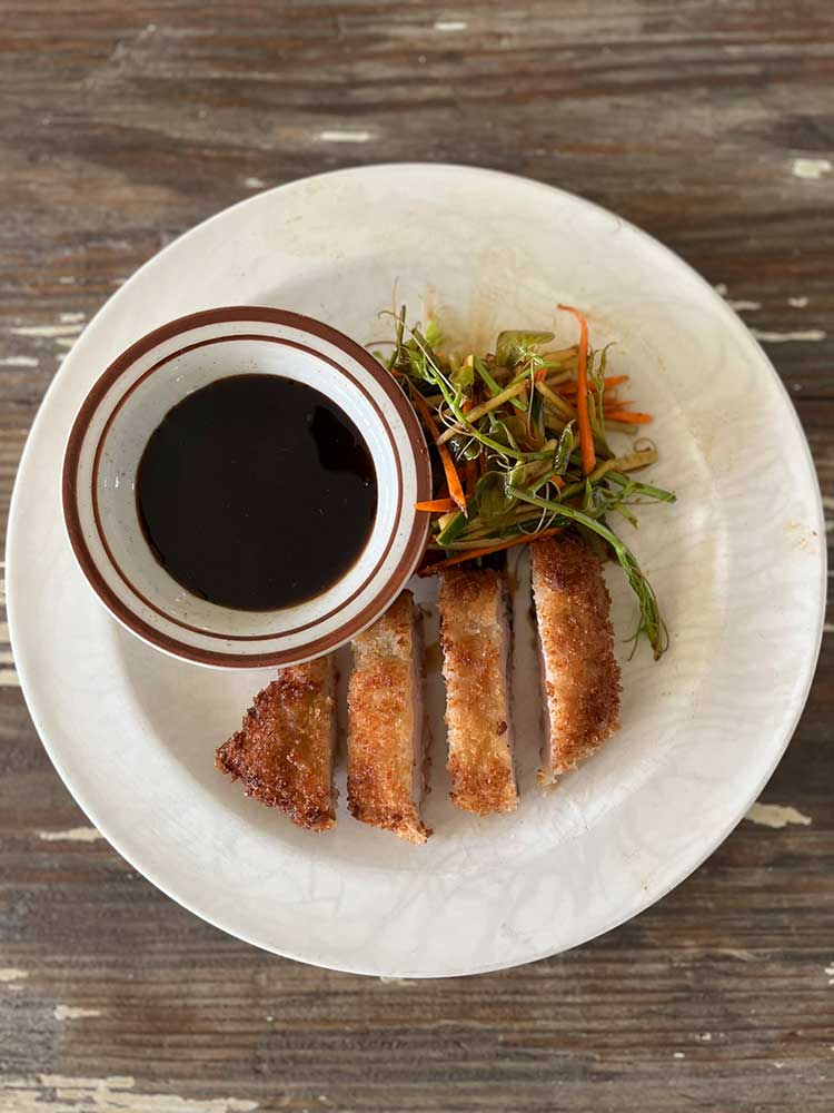 Turkey Katsu