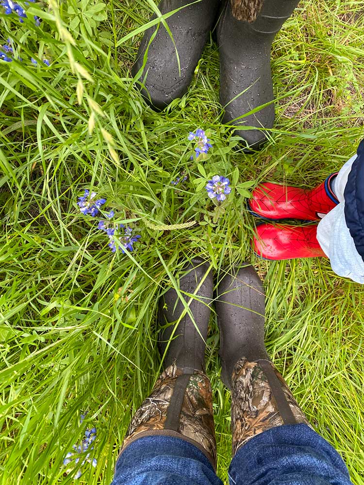 Indian Trails bluebonnets