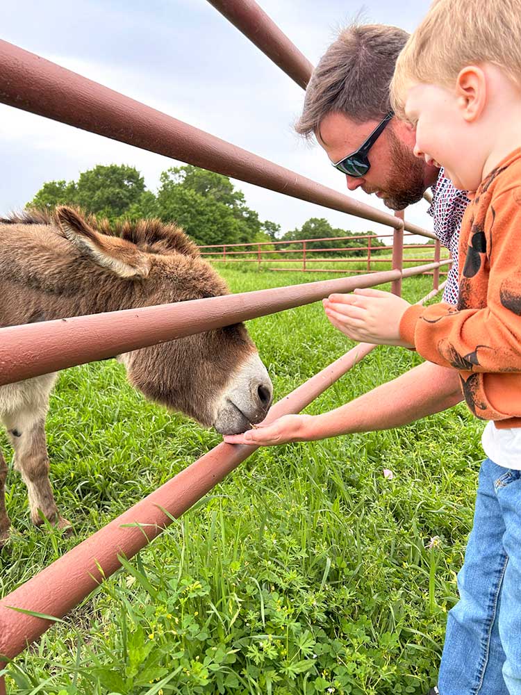 Sugar Ridge Ranch