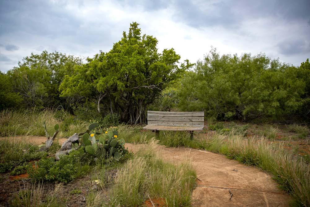 Nature Trail bench
