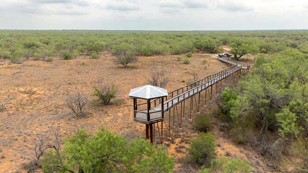 Observation Station