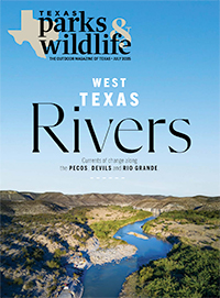 July cover image