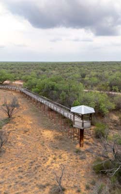 Bird viewing platform at Chaparral WMA