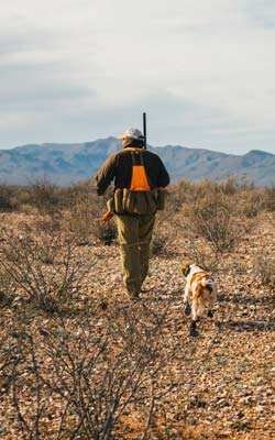 Dove hunting West Texas