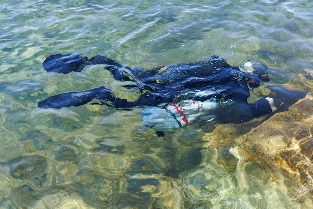 Scuba divers