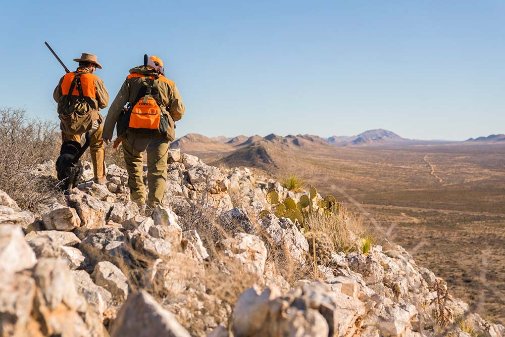 quail hunting