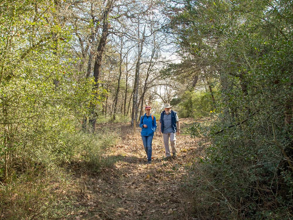 trail thru the Cedar Hill Nature Preserve