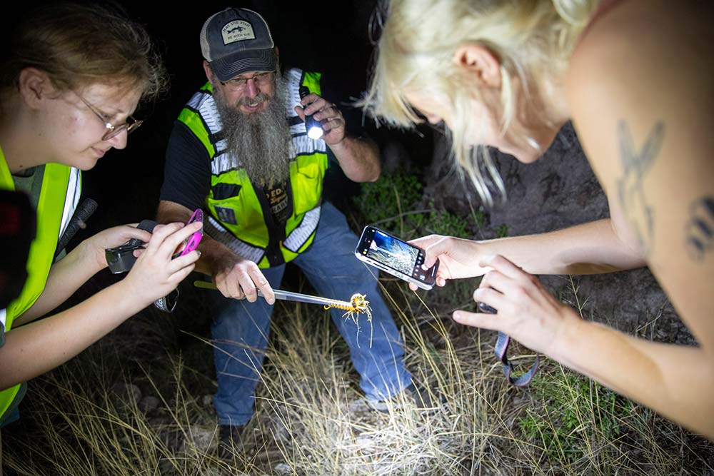 the group finds a baby snake