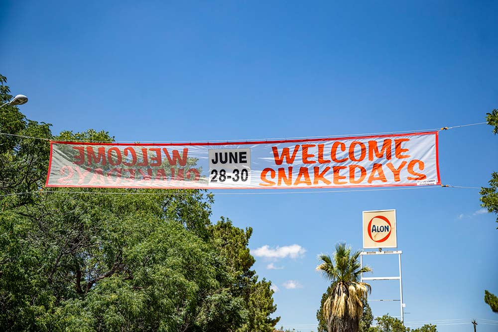 Snake Days banner