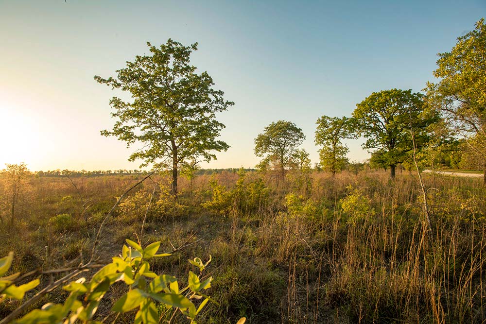 Gus Engeling Wildlife Management Area