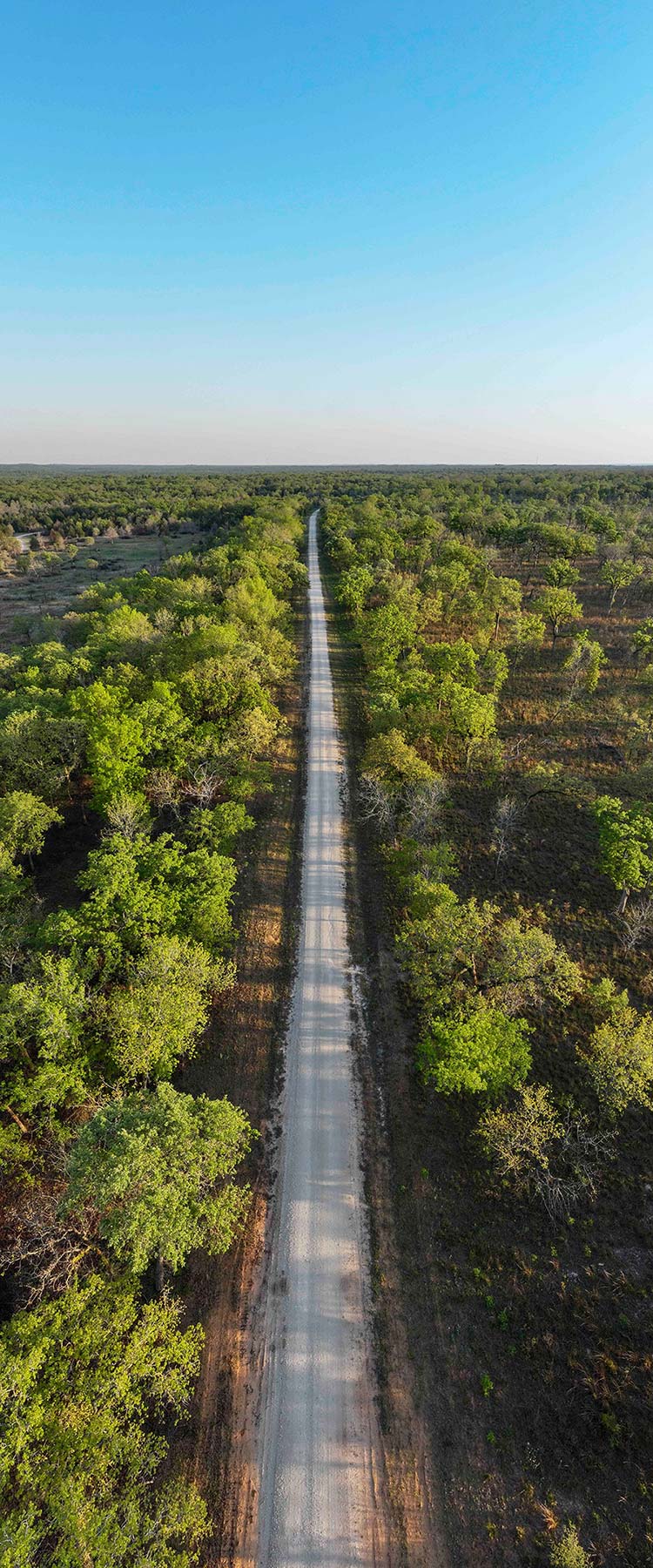Gus Engeling Wildlife Management Area road