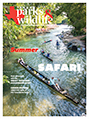 June cover image