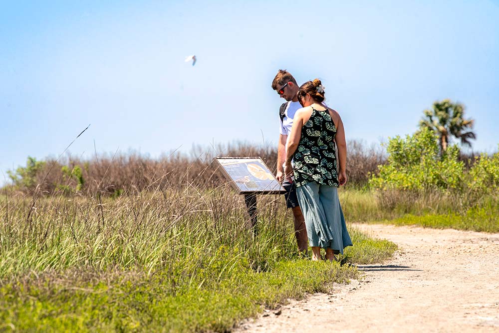 The Clapper Rail Trail