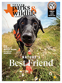 August | September cover image