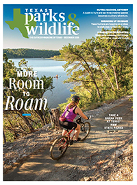 December cover image