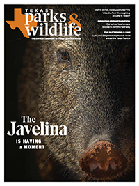 November cover image