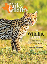 January | February cover image