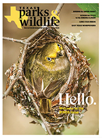 May cover image