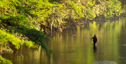 Lone Star Fly Fishing — Guadalupe River Fly Fishing Guide, Trout Fishing  on The Guadalupe River