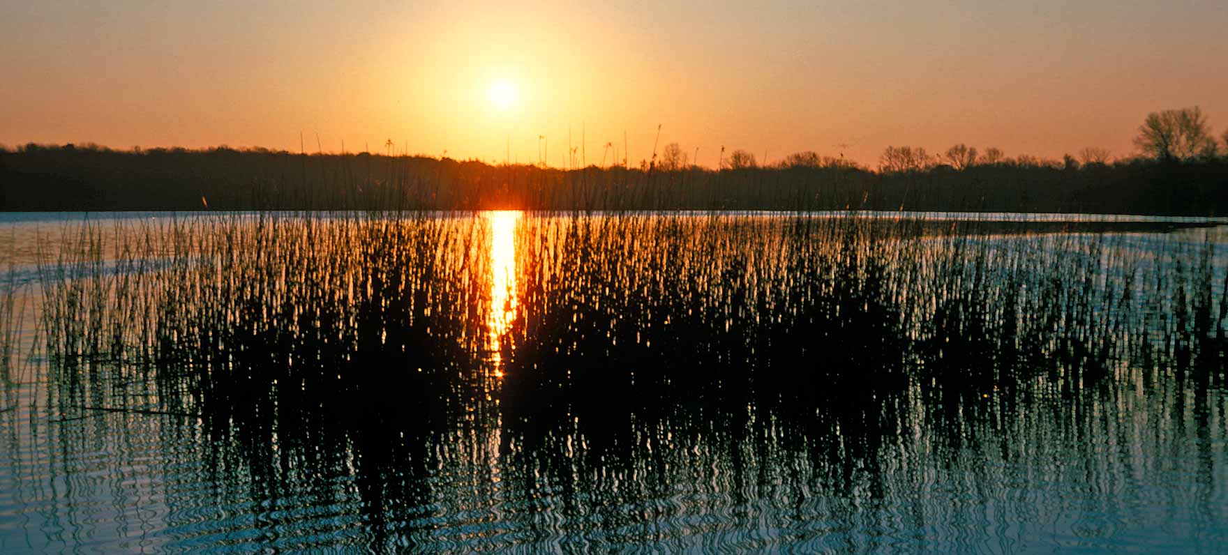 Bonham sunset