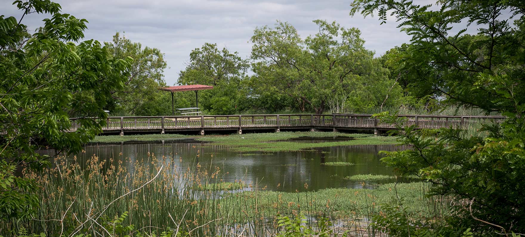 Cedar Hill Pond