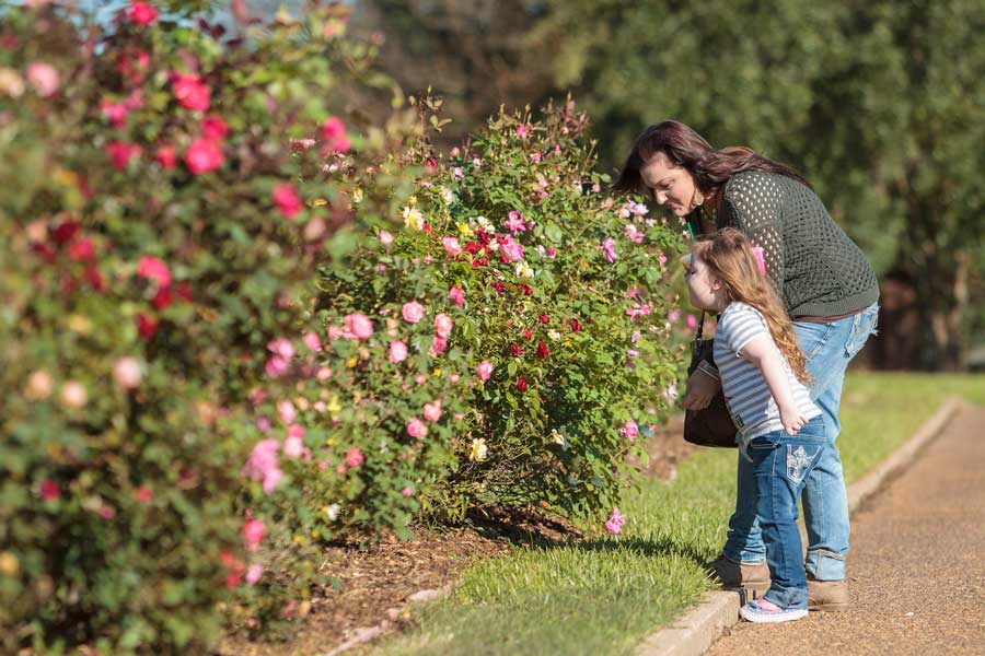 A woman and a young girl stop to smell the roses at the Tyler Rose Garden