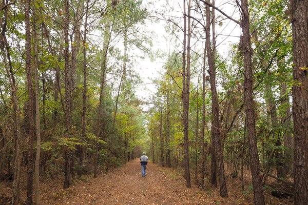 A man walks down a leaf covered trail surrounded by tall trees