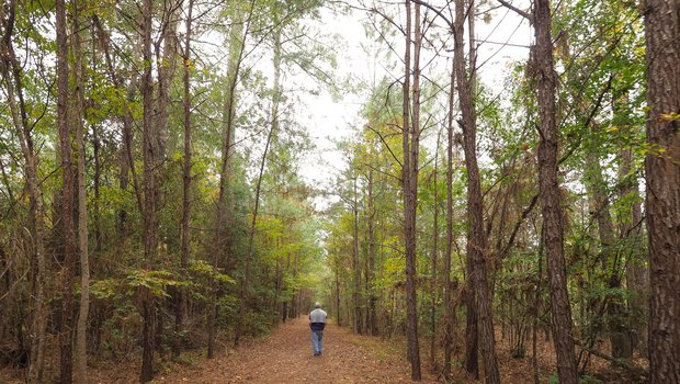 A man walks down a leaf covered trail surrounded by tall trees
