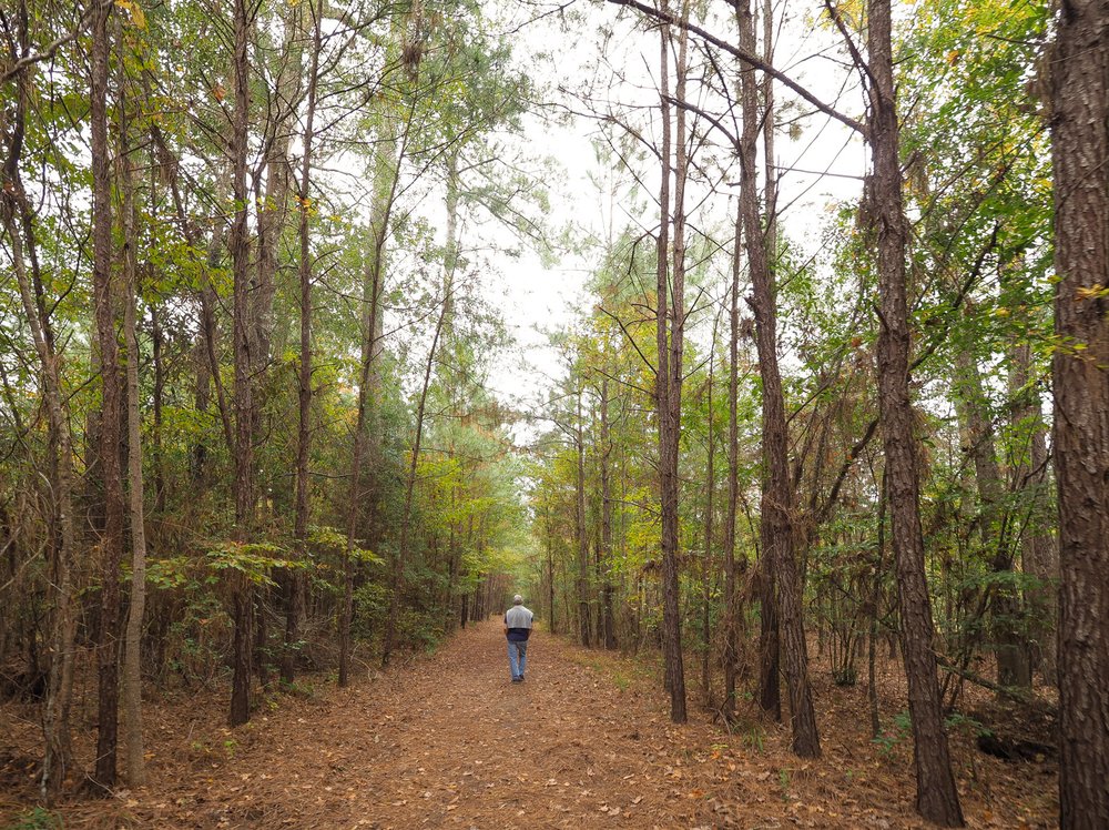 A man walks down a leaf covered trail surrounded by tall trees