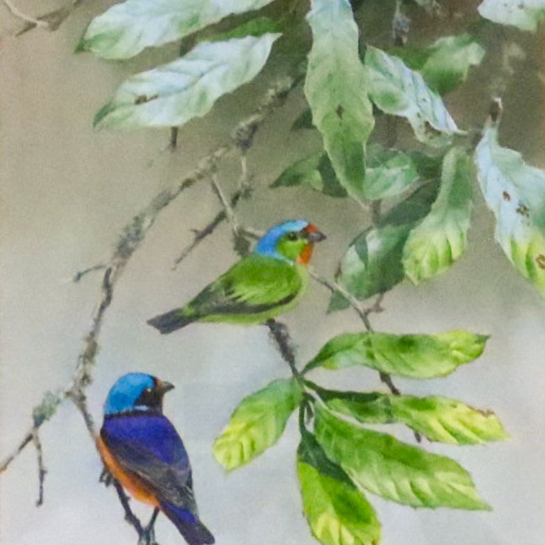 An illustration of two birds sitting on tree branches