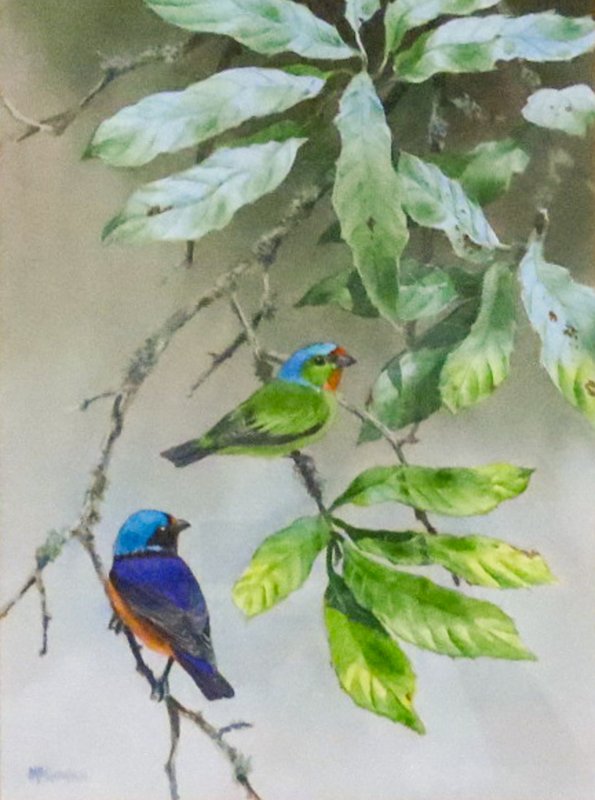 An illustration of two birds sitting on tree branches