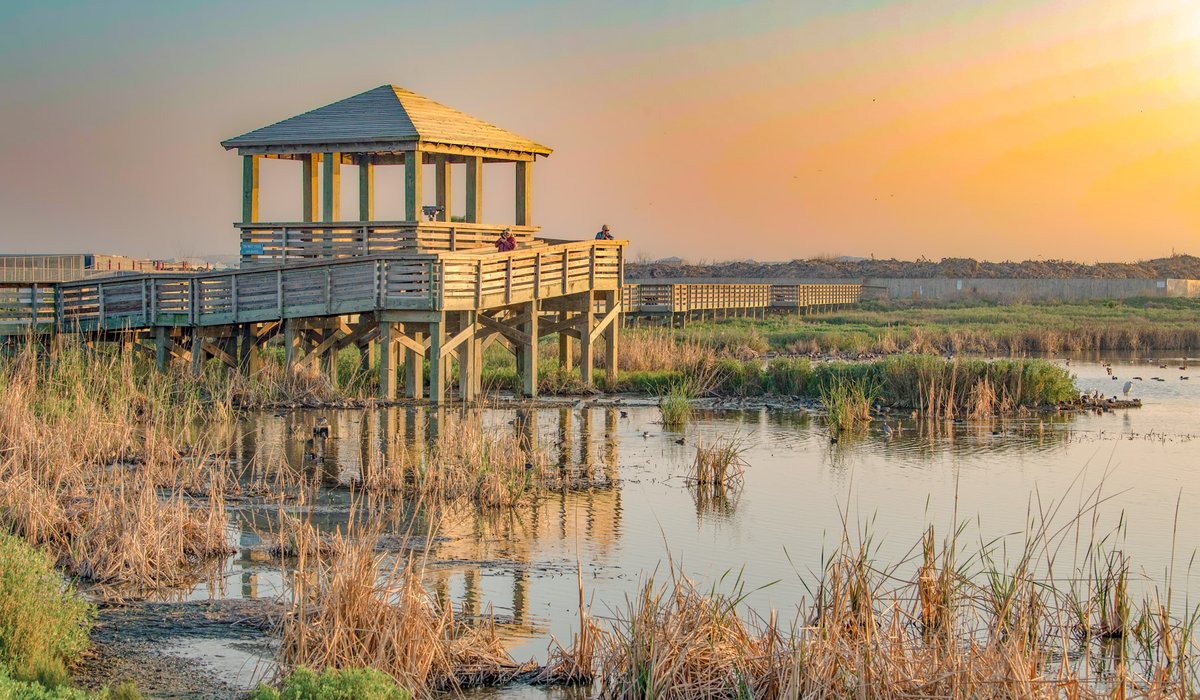 Birders look out over the wetlands at the Leonabelle Turnbull Birding Center