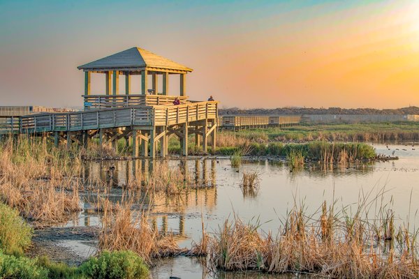 Birders look out over the wetlands at the Leonabelle Turnbull Birding Center