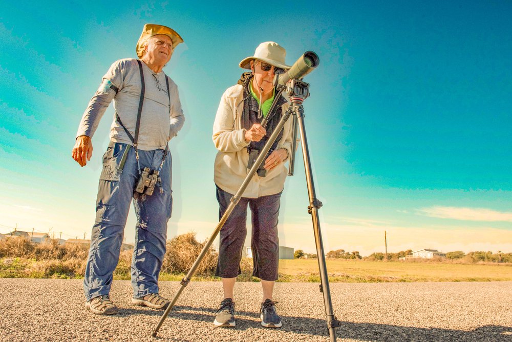 A man and woman look through a scope for birds.