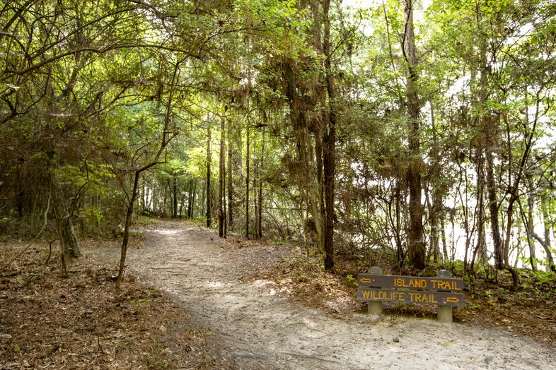 Trailhead at Martin Dies Jr. State Park.