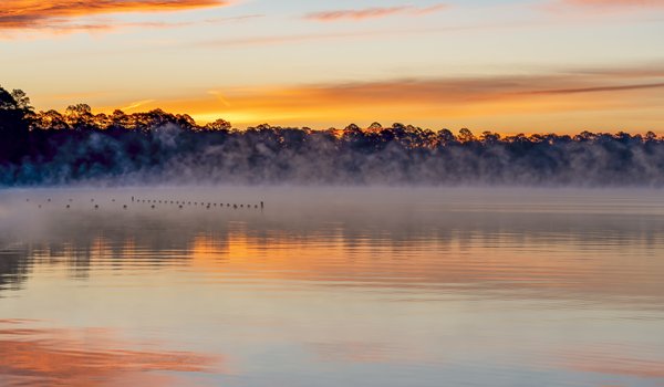 Foggy Steinhagen Reservoir at sunset.