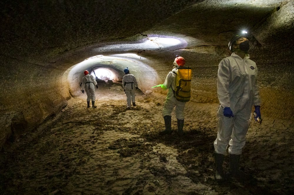 Researchers looking for bats in a cave.