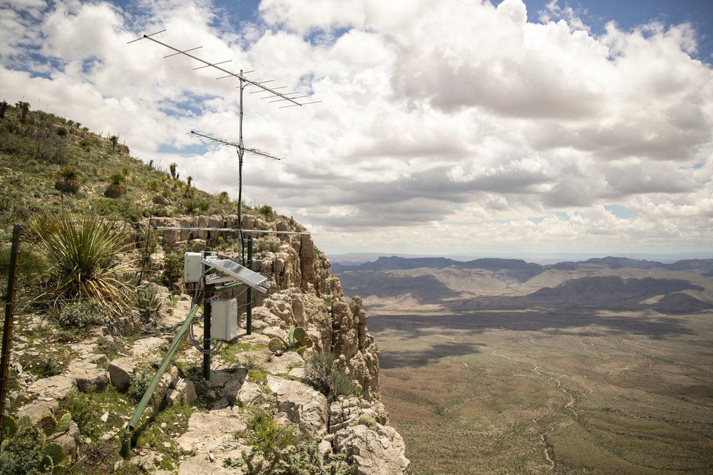 Motus Tracking station in the Sierra Diablo Wildlife Management Area.