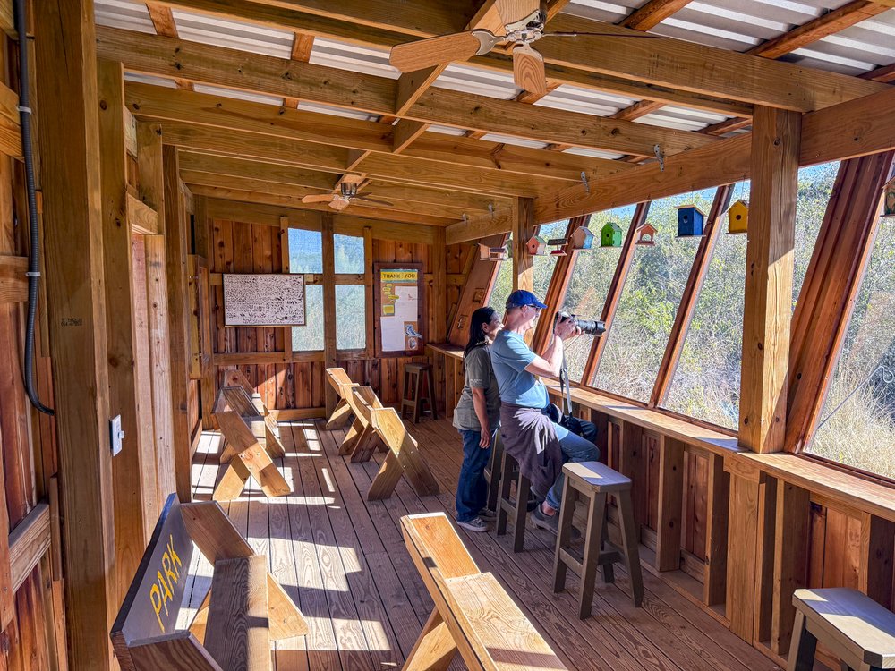 People sitting on stools in a bird blind.