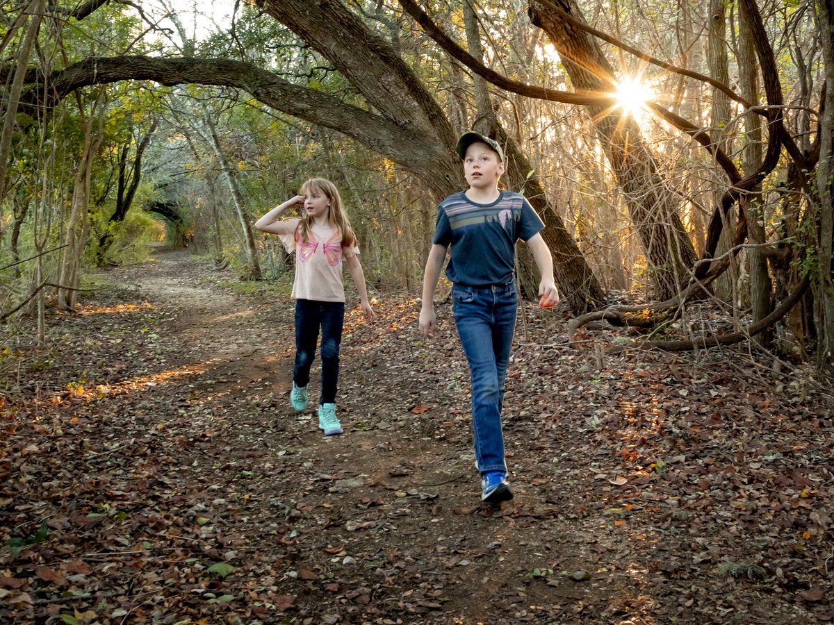 Children walking on a tree lined trail with the sun filtering through.