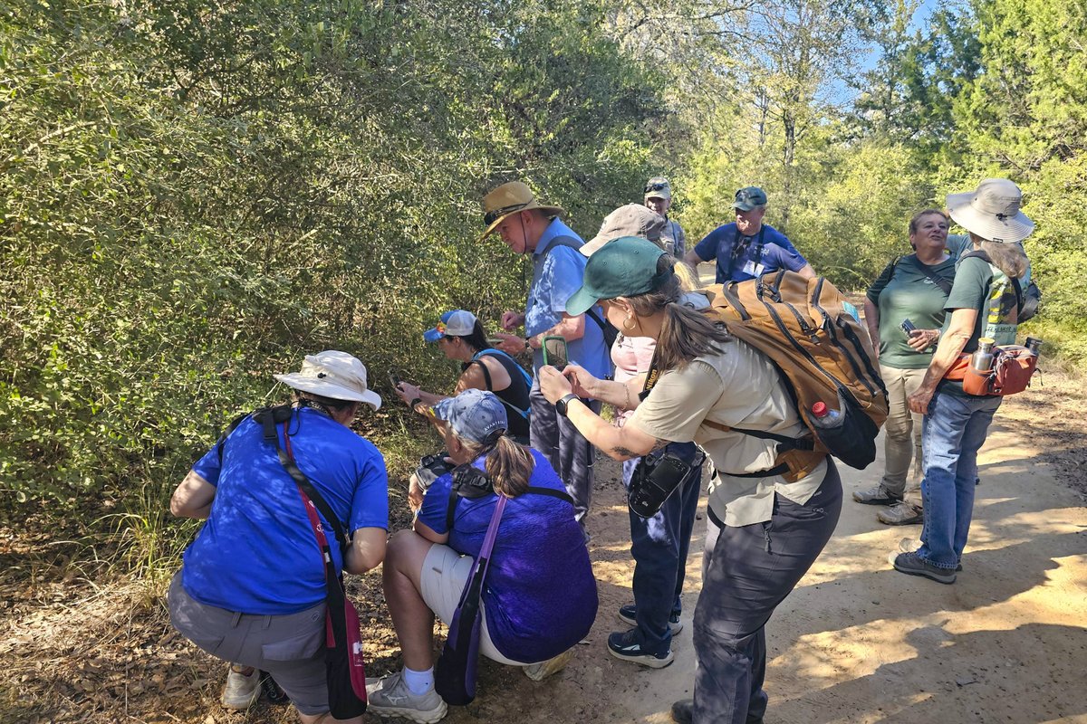 Texas citizen scientists taking photos on a trail through the woods.