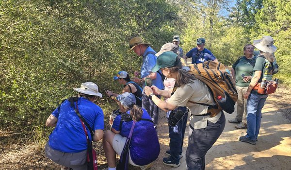 Texas citizen scientists taking photos on a trail through the woods.