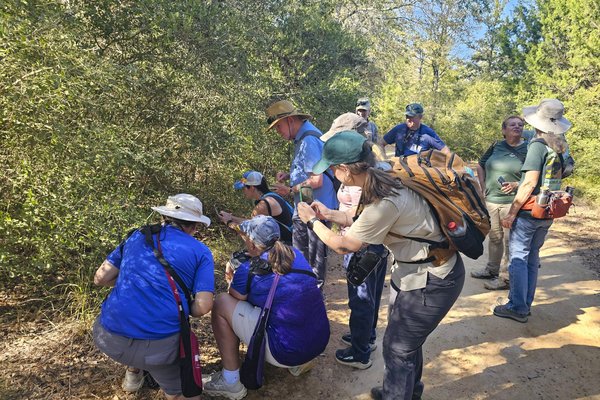 Texas citizen scientists taking photos on a trail through the woods.