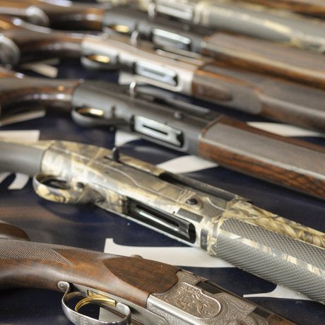 Multiple shotguns are laid out on a table