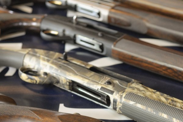 Multiple shotguns are laid out on a table