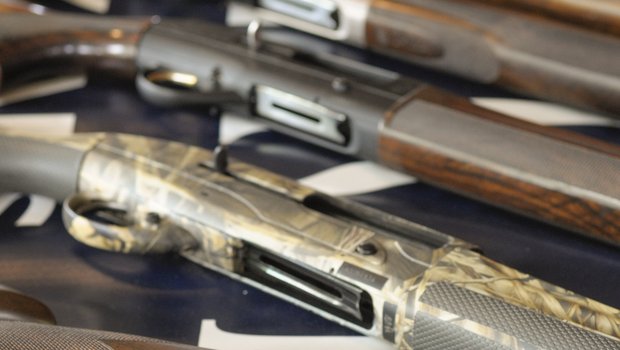 Multiple shotguns are laid out on a table