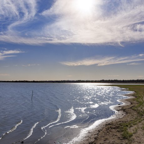 0325_PP-LakeSomerville_LakeSomervilleSP__MG_2762_SonjaSommerfeldTPWD