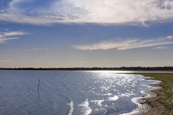 0325_PP-LakeSomerville_LakeSomervilleSP__MG_2762_SonjaSommerfeldTPWD