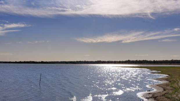 0325_PP-LakeSomerville_LakeSomervilleSP__MG_2762_SonjaSommerfeldTPWD
