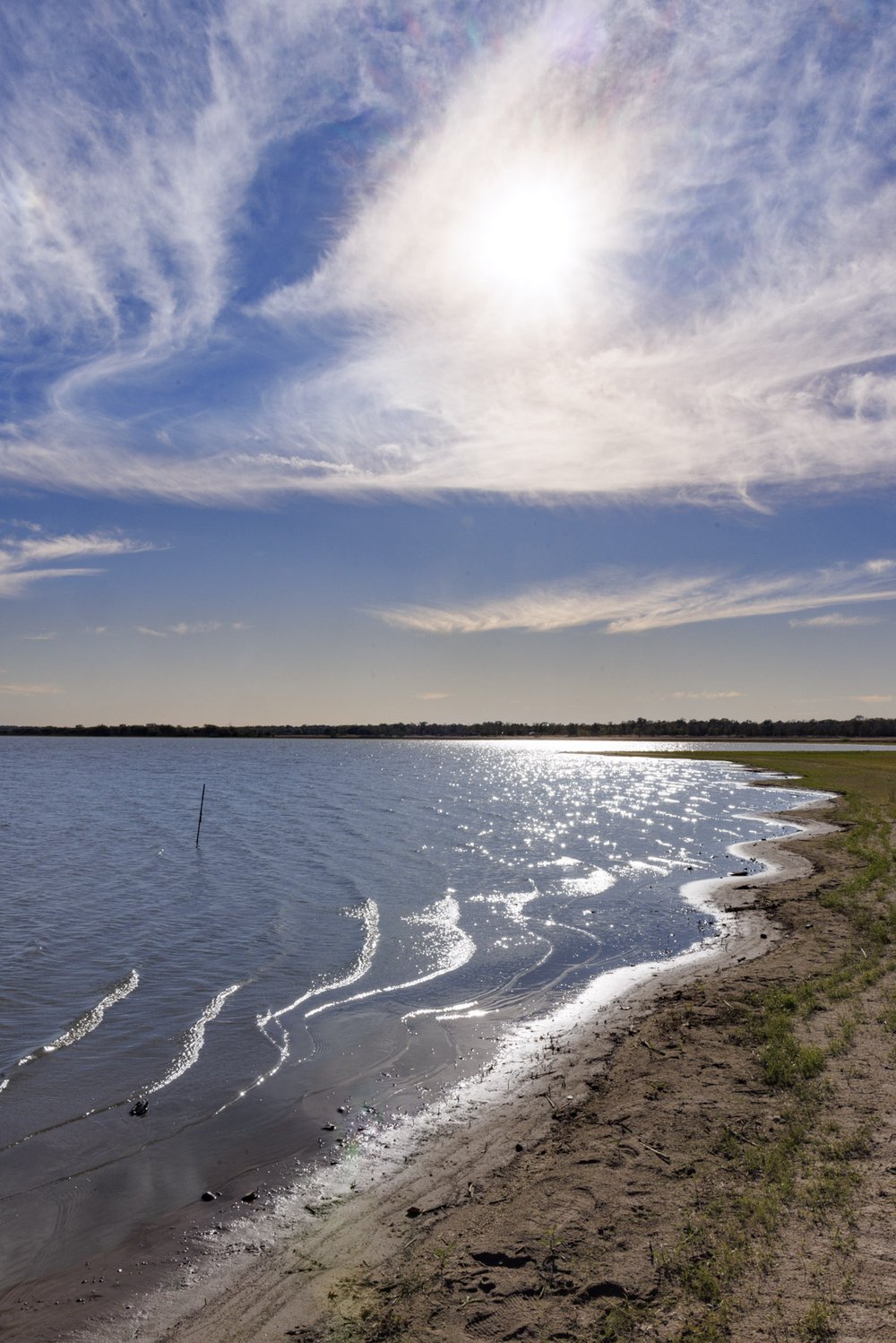 0325_PP-LakeSomerville_LakeSomervilleSP__MG_2762_SonjaSommerfeldTPWD